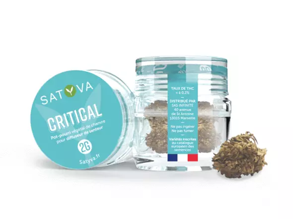Critical - Fleur de CBD