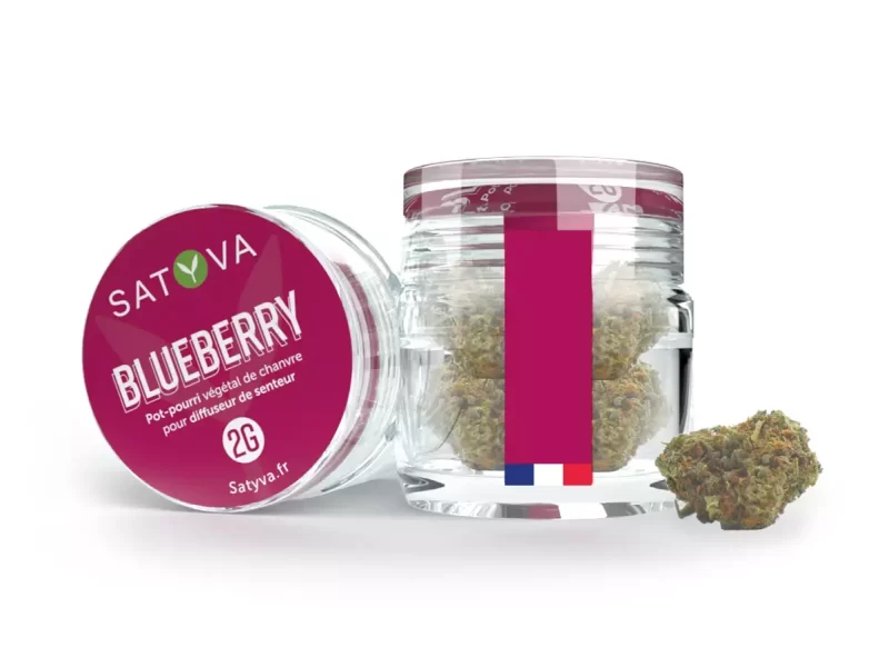 Blueberry - Fleur de CBD