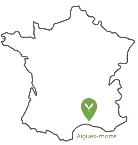 Boutique Satyva Aigues-mortes
