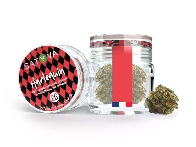 Harlequin - Fleur de CBD