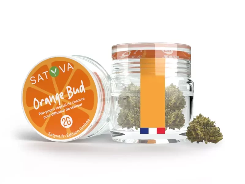 Orange Bud - Fleur de CBD