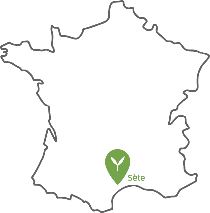Sete boutique satyva
