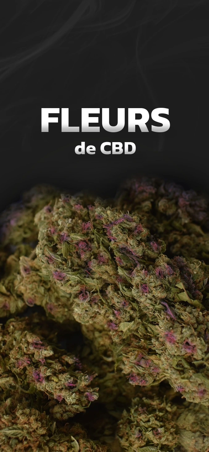 fleurs-cbd