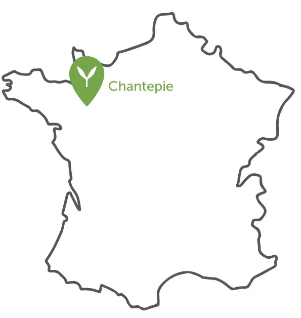 CBD-Chantepie
