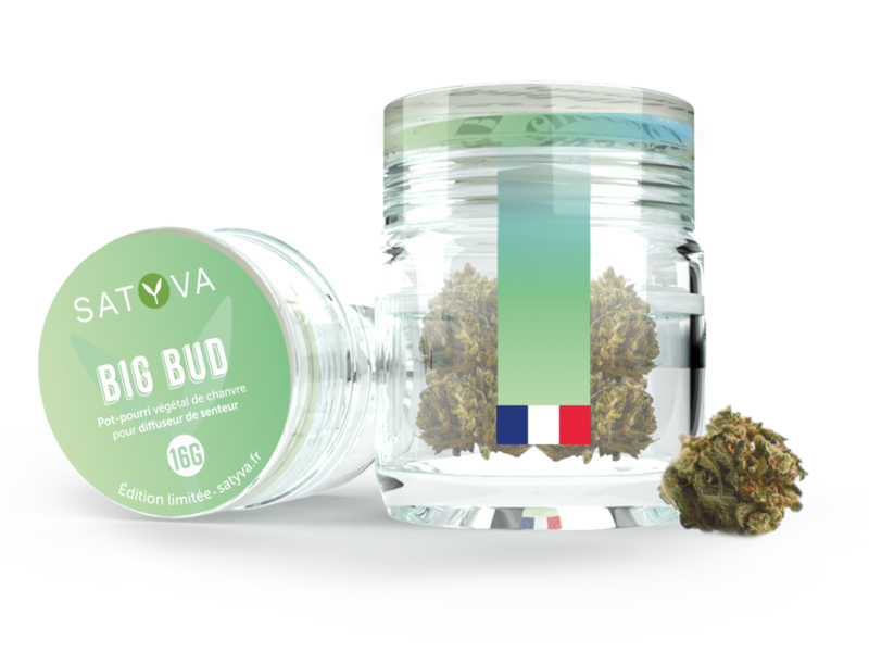 Big Bud - Fleur de CBD