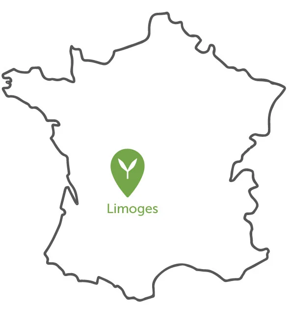 Satyva Limoges