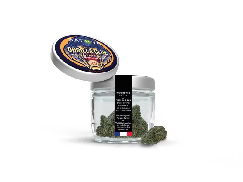 gorilla glue CBD